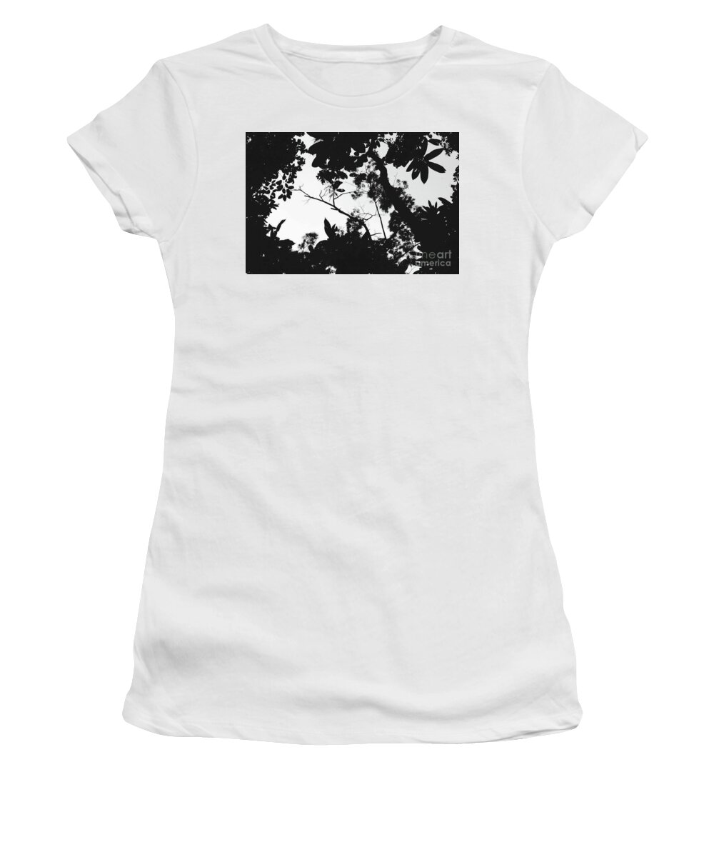 Rainforest Women's T-Shirt featuring the photograph Rainforest Window by Cassandra Buckley