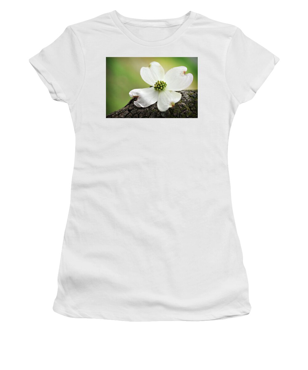 Dogwood Women's T-Shirt featuring the photograph Raining Sunshine by Michelle Wermuth