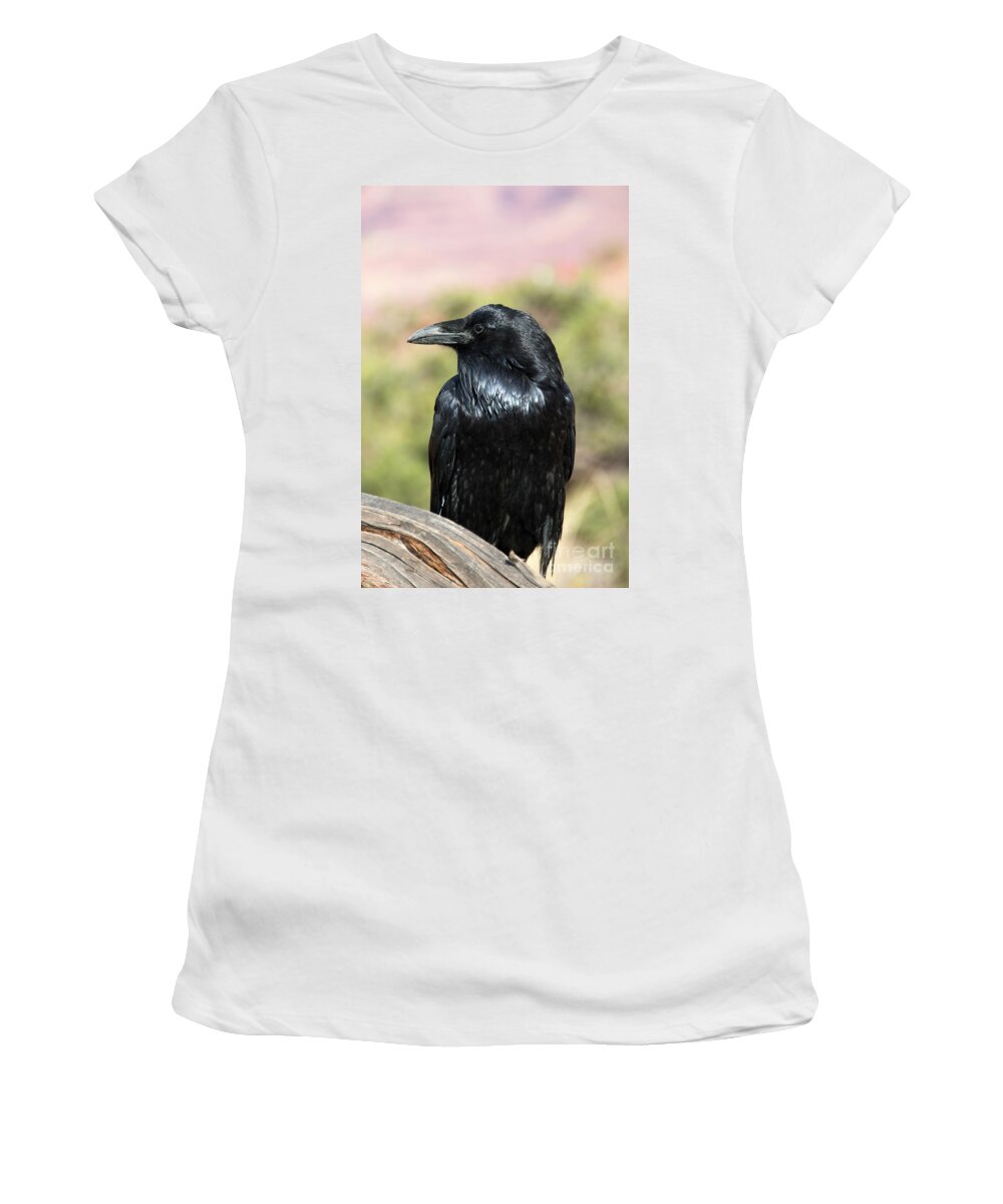 Raven Women's T-Shirt featuring the photograph Raven Profile by Michael Dawson