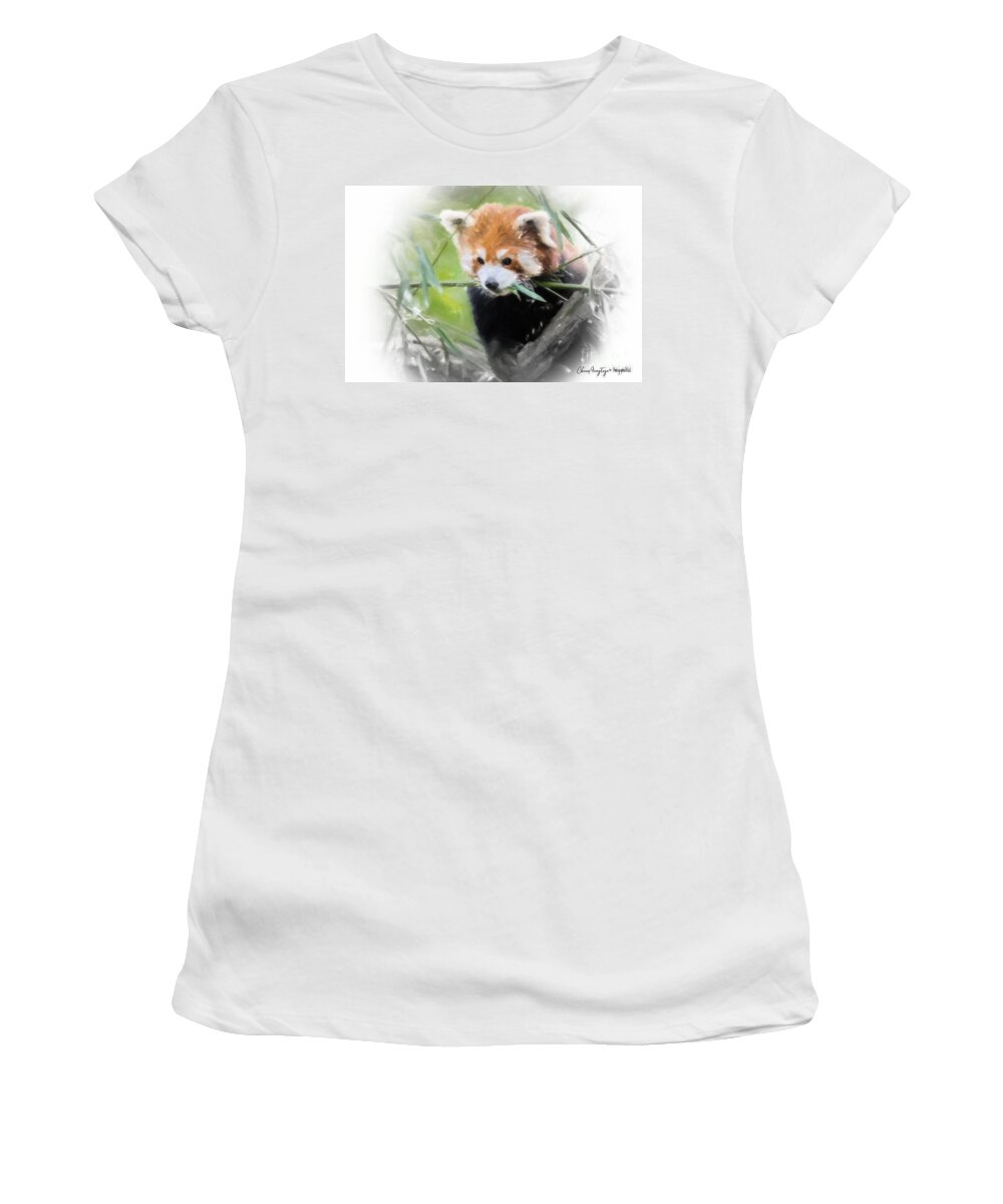Red Panda Women's T-Shirt featuring the painting Red Panda by Chris Armytage