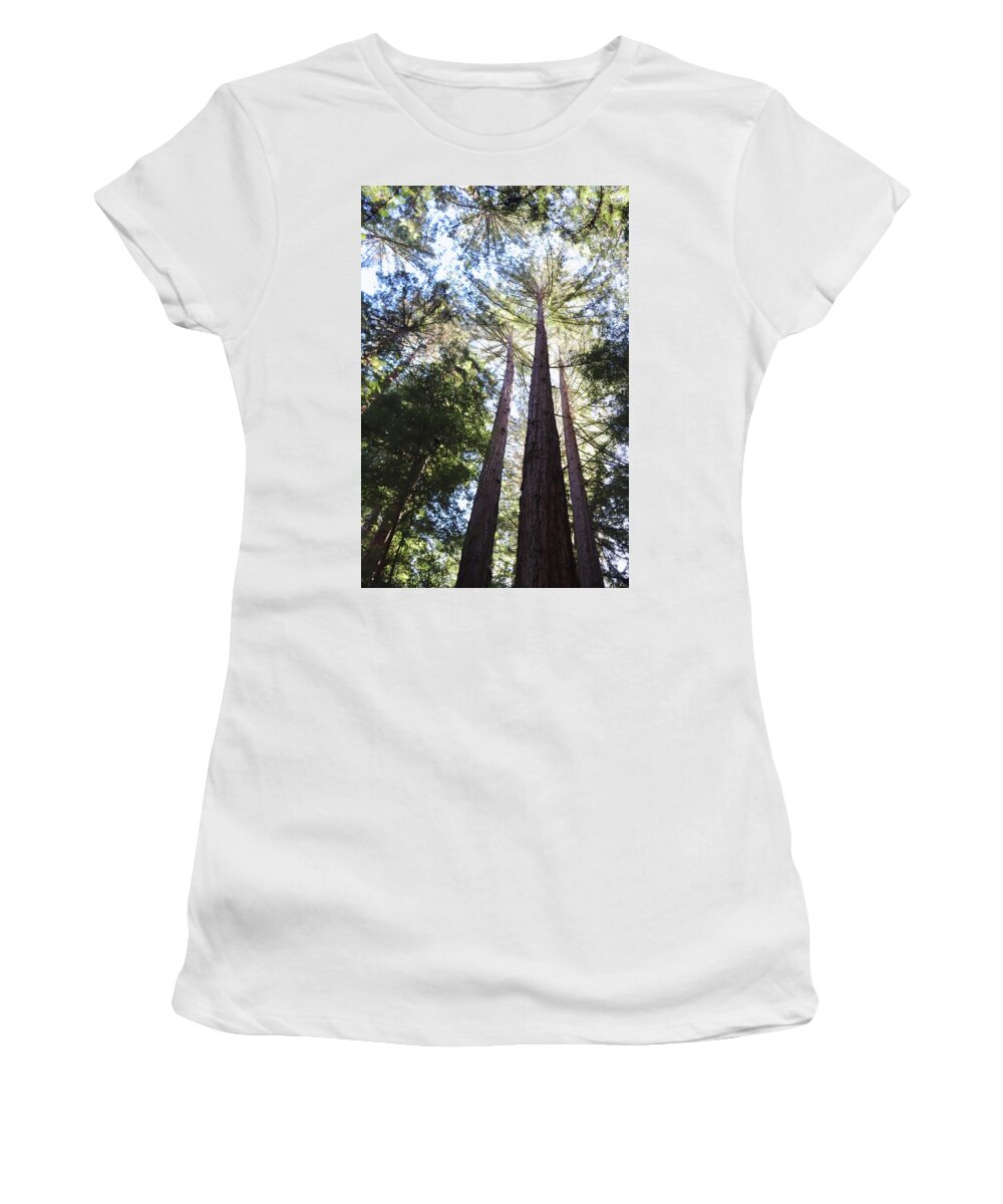 Redwoods Women's T-Shirt featuring the photograph California Redwoods by Sarah Lilja