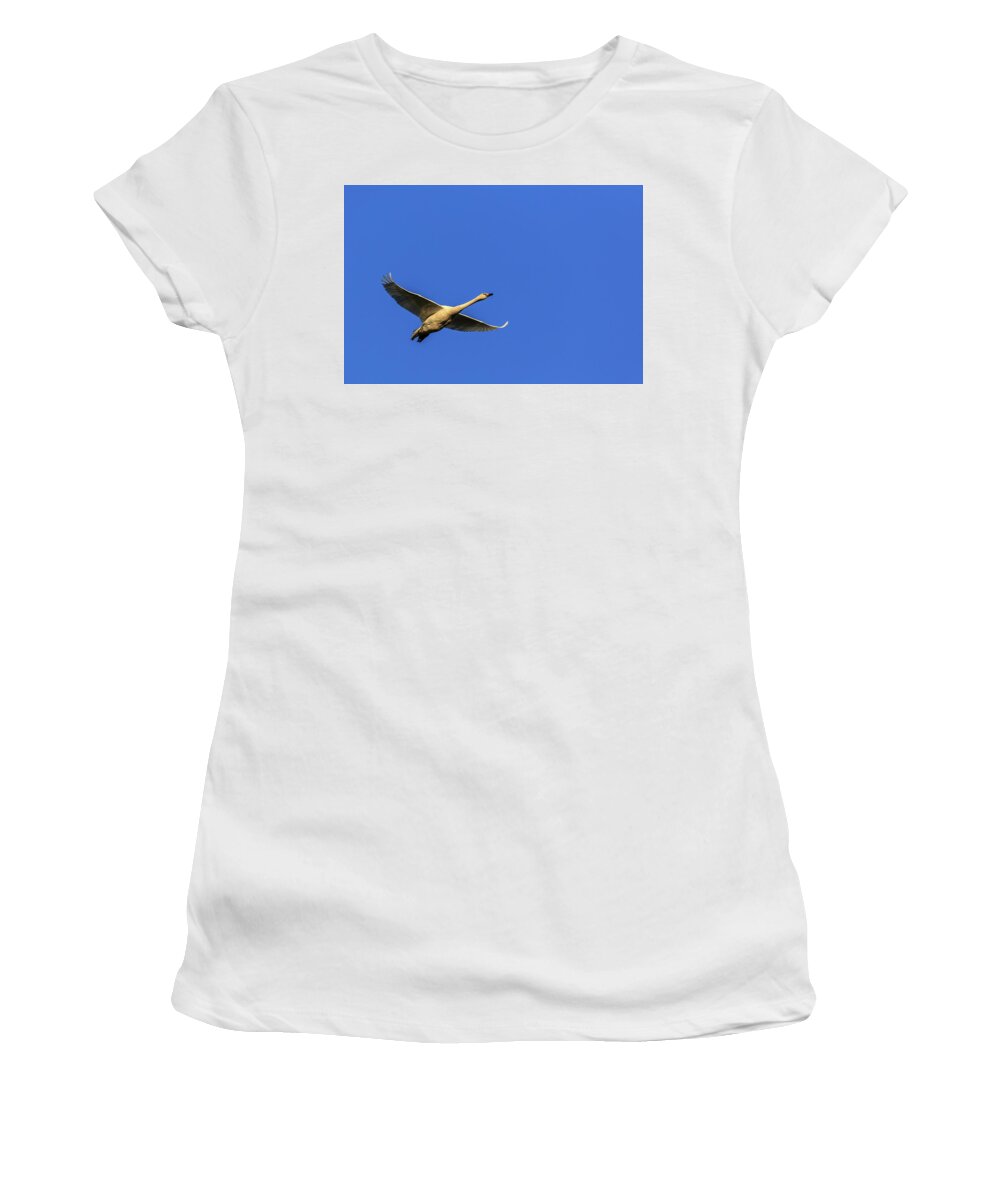 Skagit Valley Women's T-Shirt featuring the photograph Requesting Permission to Land by Briand Sanderson