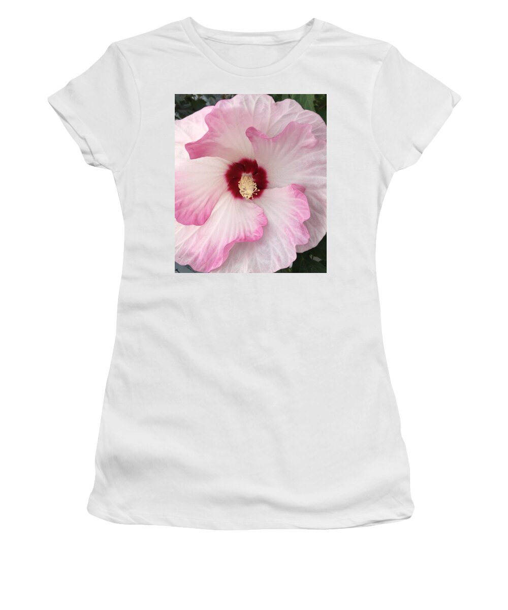 Hibiscus Women's T-Shirt featuring the photograph Ruffles and Ruby by Anjel B Hartwell