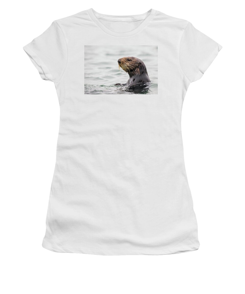 Sebastian Kennerknecht Women's T-Shirt featuring the photograph Sea Otter In Elkhorn Slough by Sebastian Kennerknecht