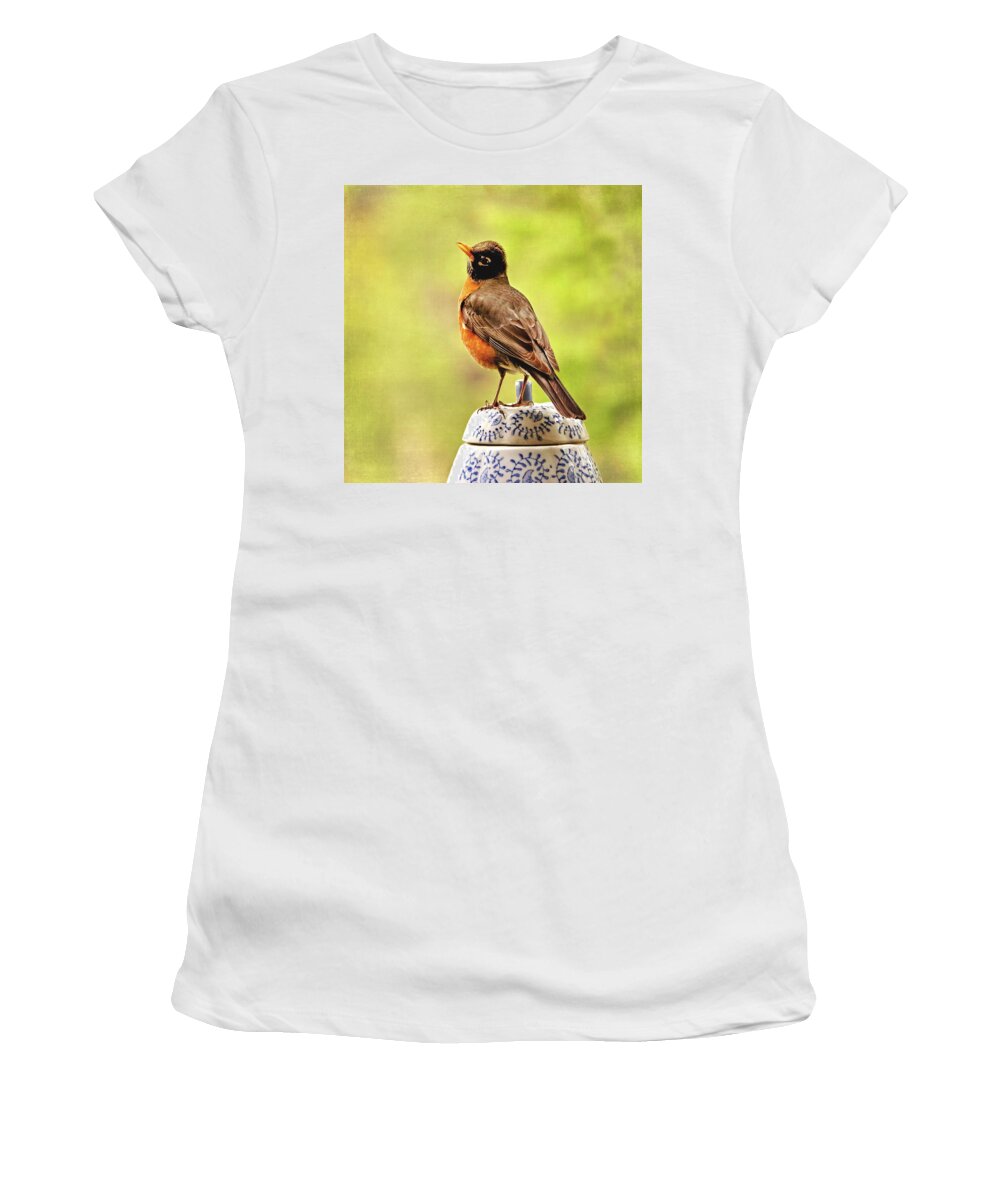 Robin Women's T-Shirt featuring the photograph Singing for Cookies by Peggy Collins