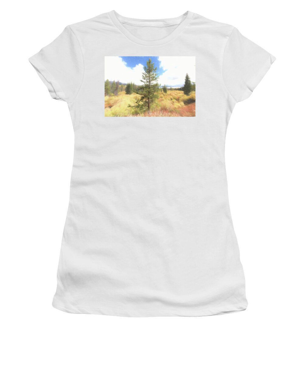 Tree Women's T-Shirt featuring the photograph Solidarity by Jennifer Grossnickle