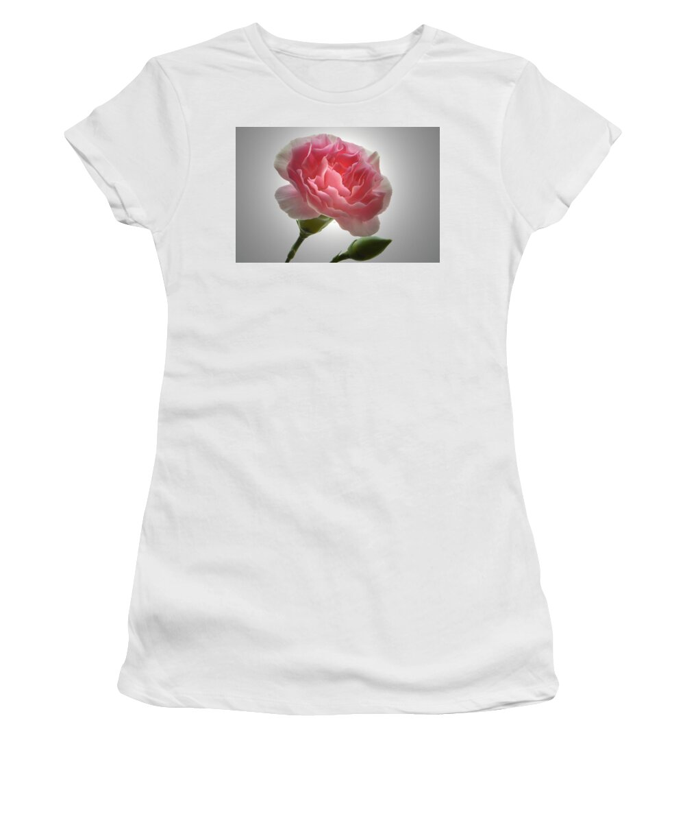 Carnation Women's T-Shirt featuring the photograph Spotlight On Carnation by Terence Davis