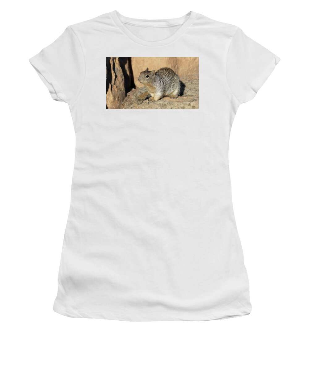 Usa Women's T-Shirt featuring the pyrography Squirrel by Magnus Haellquist