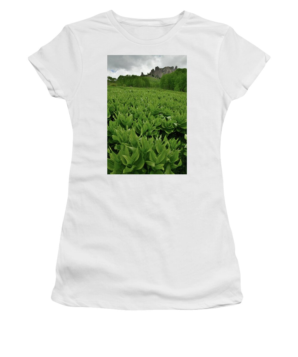 Highway 50 Women's T-Shirt featuring the photograph Storm over Skunk Cabbage in Big Cimarron by Ray Mathis