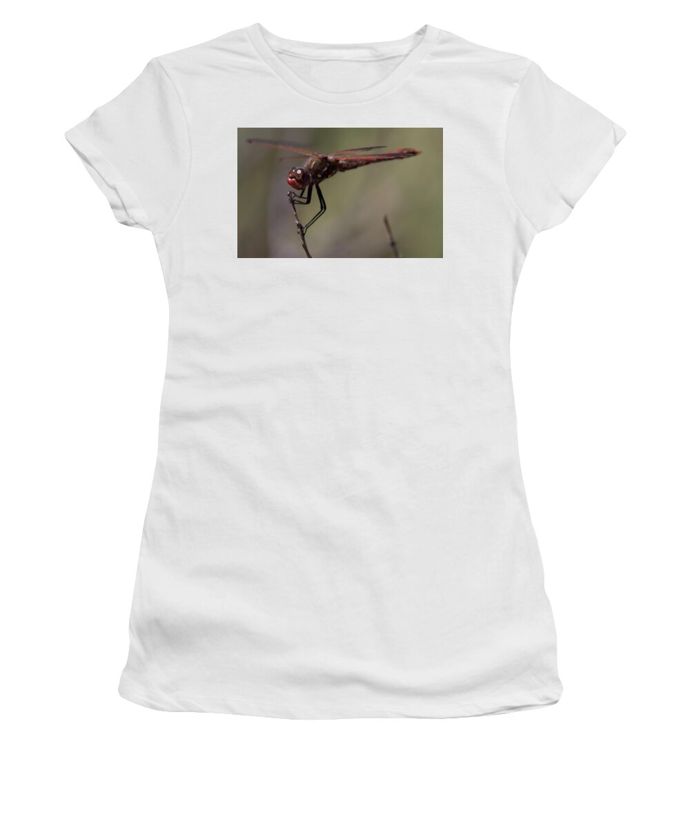 Dragonfly Women's T-Shirt featuring the photograph The Dragonfly's Eyes by Jonathan Thompson