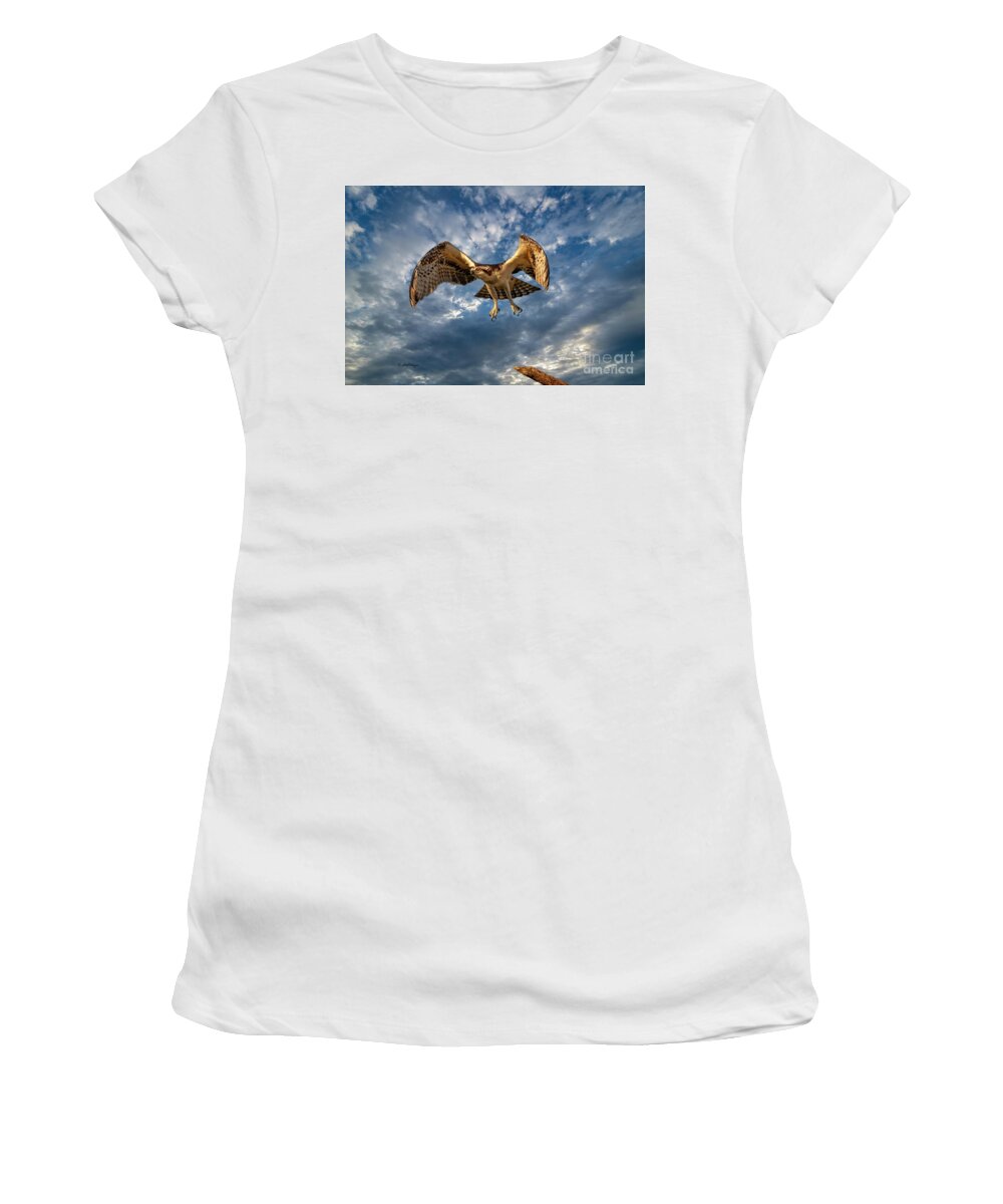 Ospreys Women's T-Shirt featuring the photograph Time To Fly TWO by DB Hayes