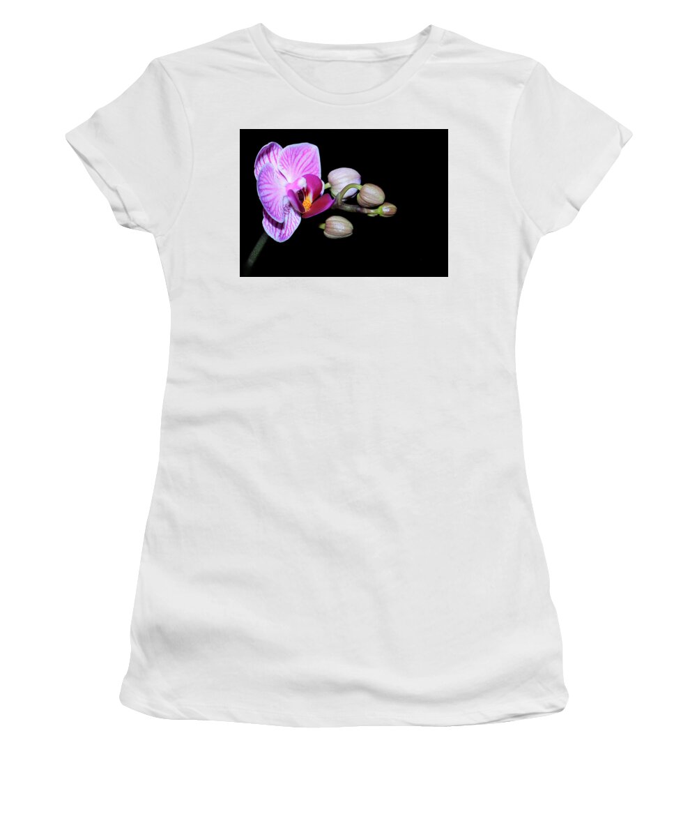 Orchid Women's T-Shirt featuring the photograph Tiny Orchid by Tammy Schneider