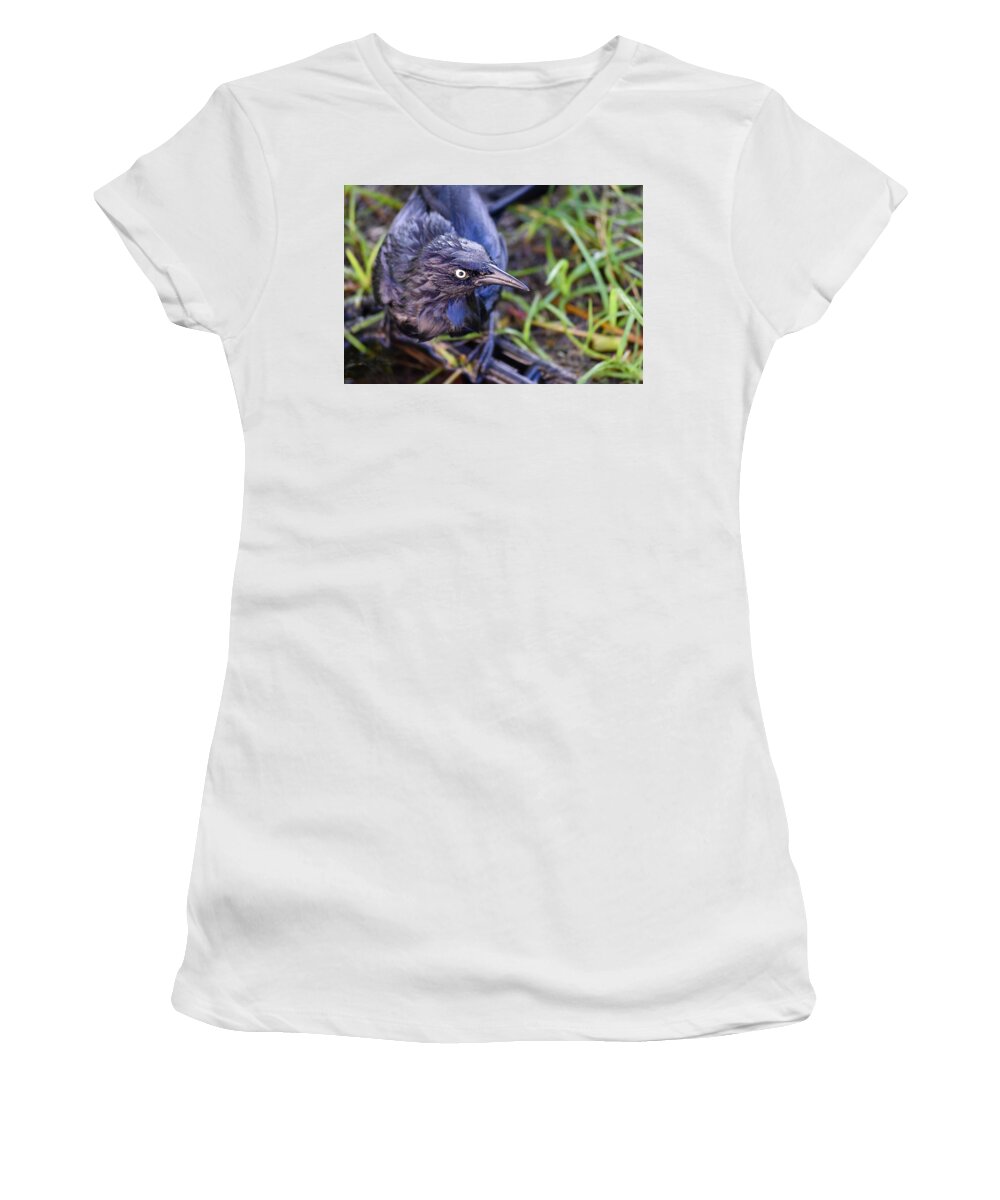 Photograph Women's T-Shirt featuring the photograph Trick or Treat? by Debra Grace Addison