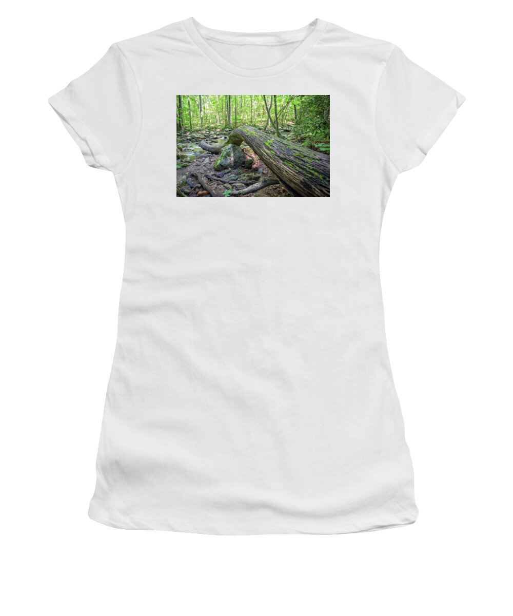 Tree Women's T-Shirt featuring the photograph Twister by Alan Raasch