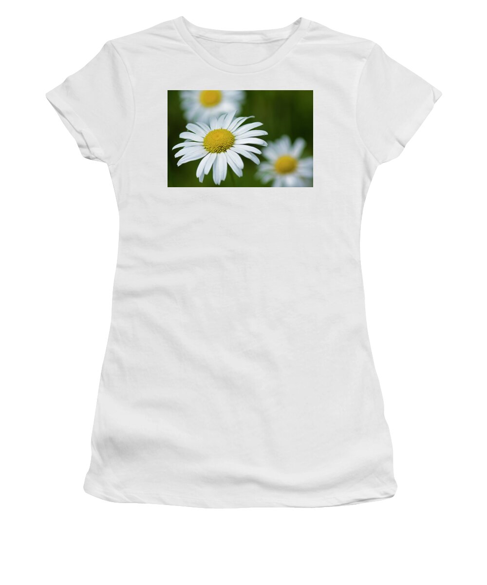 Flower Women's T-Shirt featuring the photograph Wild Daisies by Bob Decker