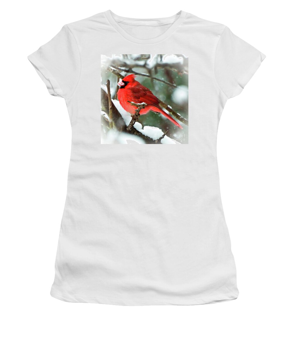 Cardinal Women's T-Shirt featuring the photograph Winter Red Bird - Male Northern Cardinal with a Snow Beak by Kerri Farley