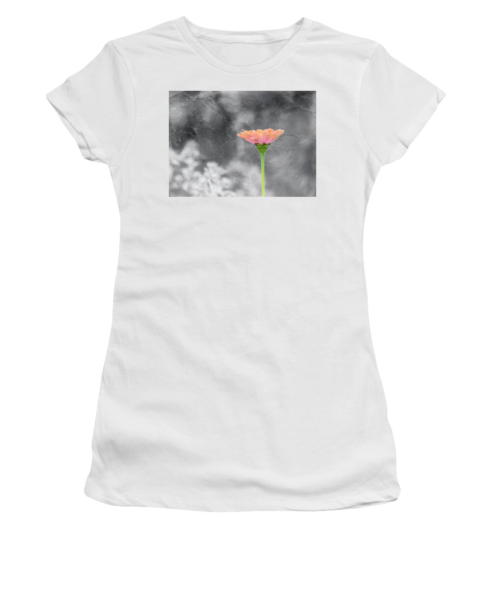 Zinnia Flower Women's T-Shirt featuring the photograph Zinnia 2018-1 by Thomas Young