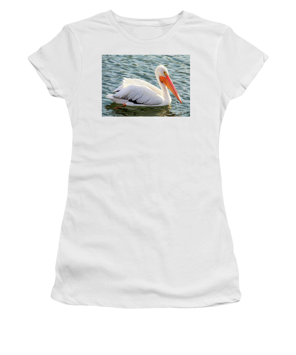 American White Pelican Women's T-Shirt featuring the photograph American White Pelican 3 #1 by Joanne Carey