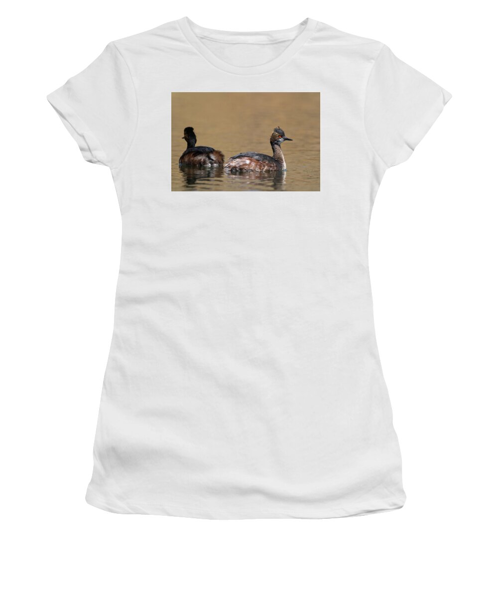 Eared Grebe Women's T-Shirt featuring the photograph Eared Grebe #1 by Julieta Belmont