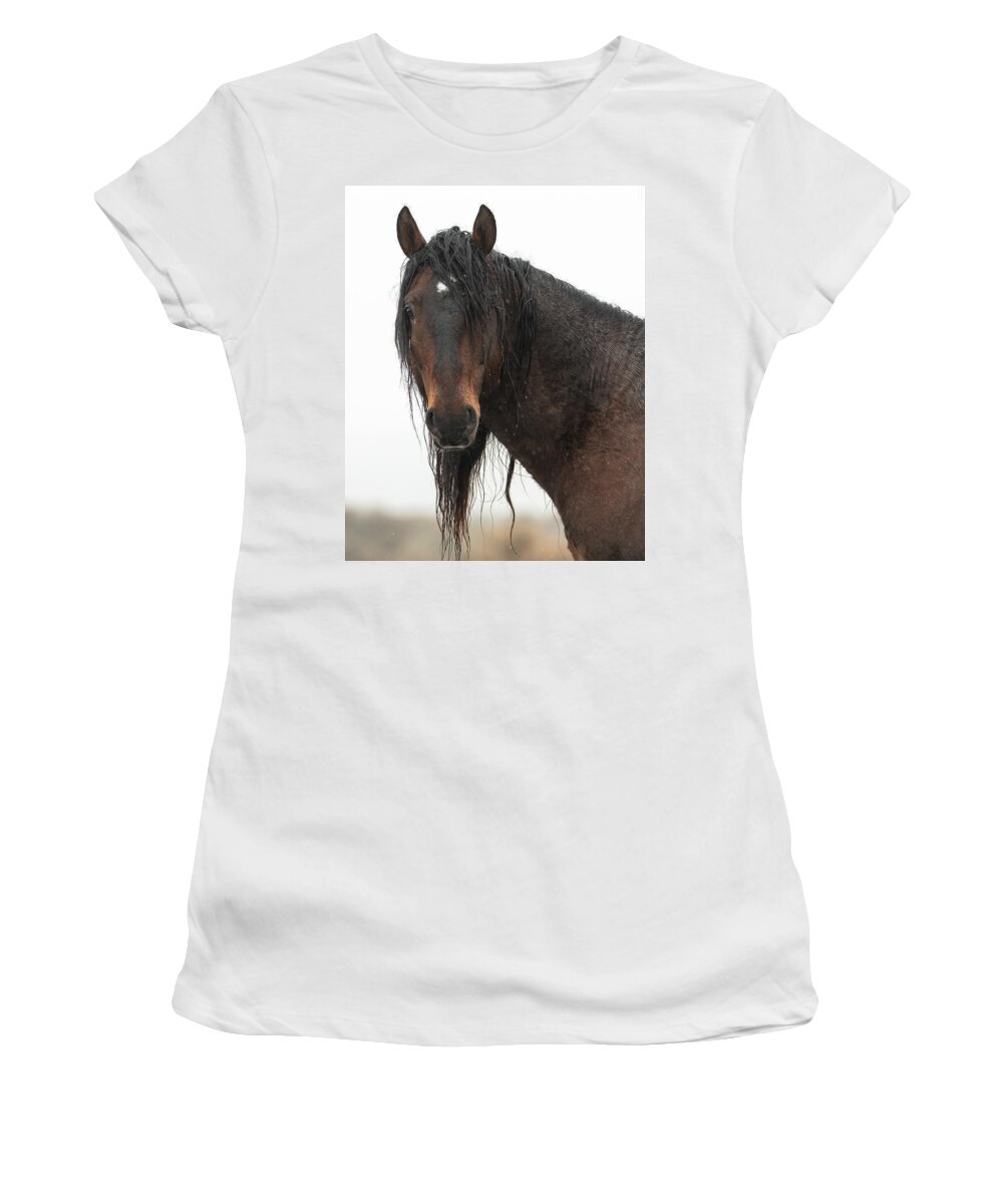 Horses Women's T-Shirt featuring the photograph Intensity #1 by Mary Hone