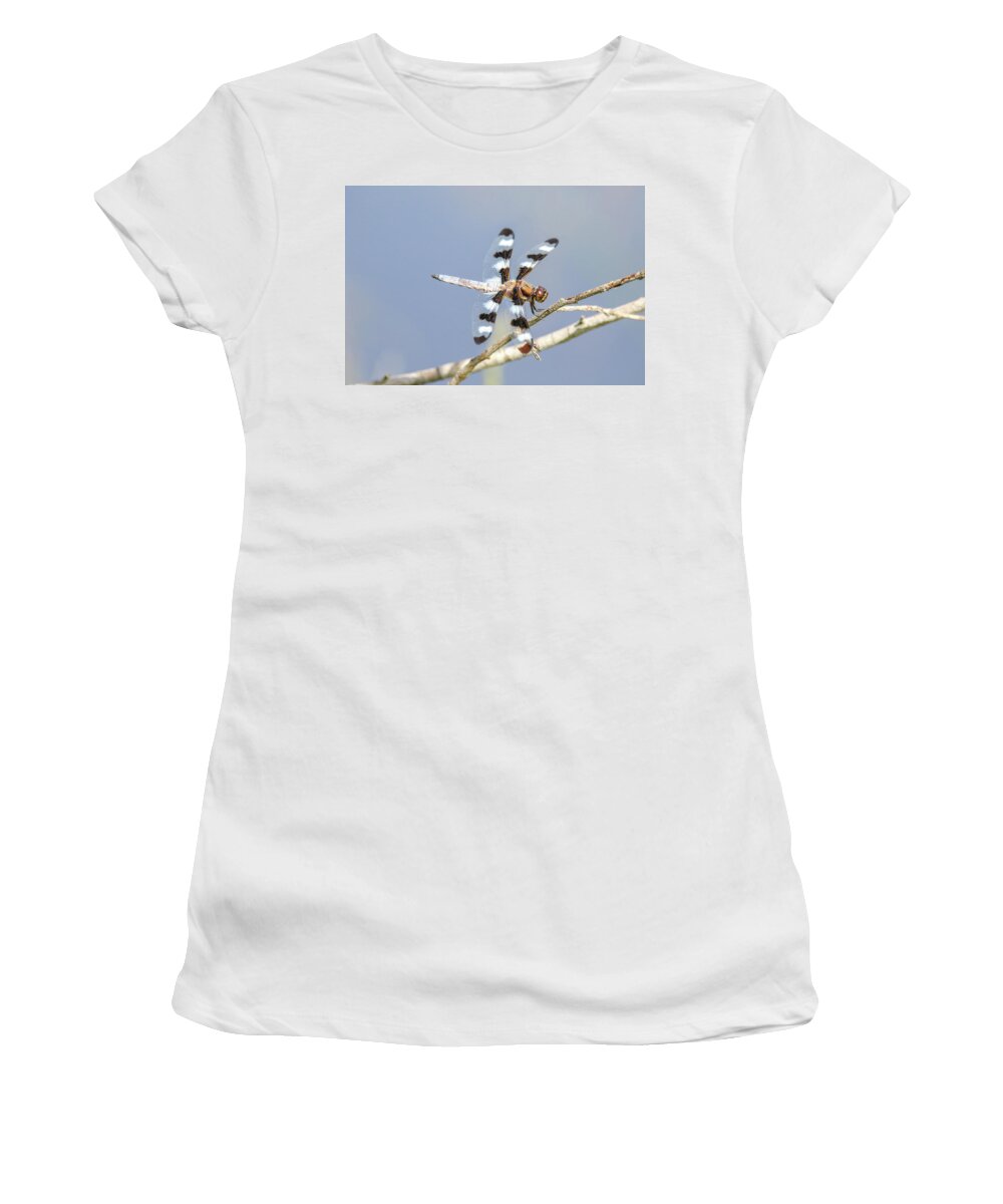12 Spotted Skimmer Women's T-Shirt featuring the photograph 12 Spotted Skimmer Dragonfly by Brook Burling
