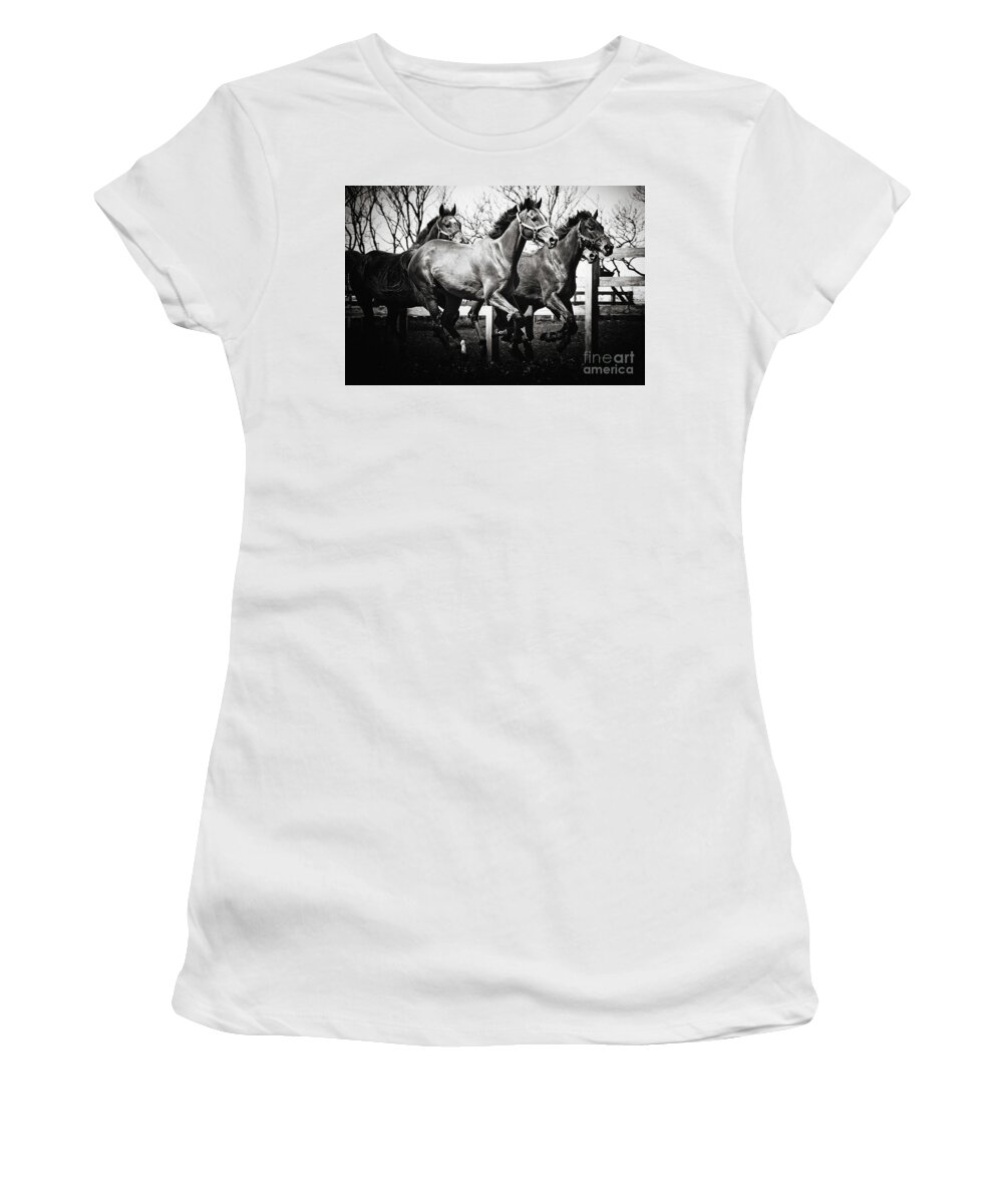 Horse Women's T-Shirt featuring the photograph Galloping horses Black and White by Dimitar Hristov