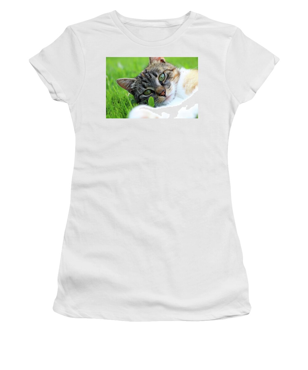 Golden Hour Women's T-Shirt featuring the photograph A part of body of domestic cat lying in grass and looking on camera in right moment by Vaclav Sonnek