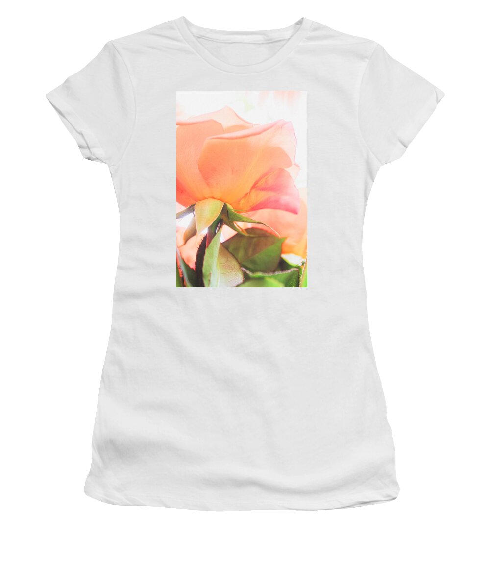 Rosa Hybrida Women's T-Shirt featuring the photograph A Rose Made of Light by W Craig Photography