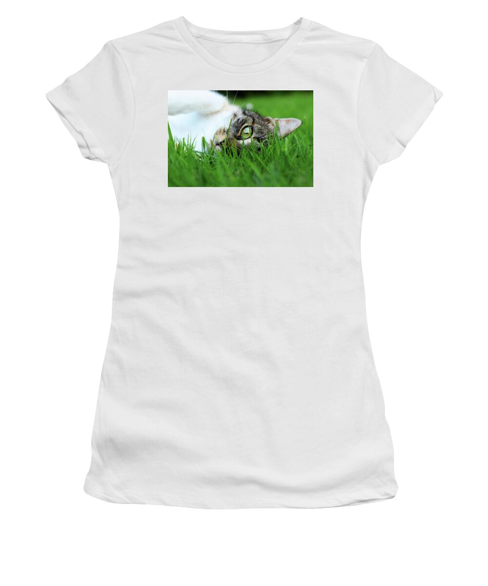 Domestic Cat Women's T-Shirt featuring the photograph Tabby kitten lying in grass by Vaclav Sonnek