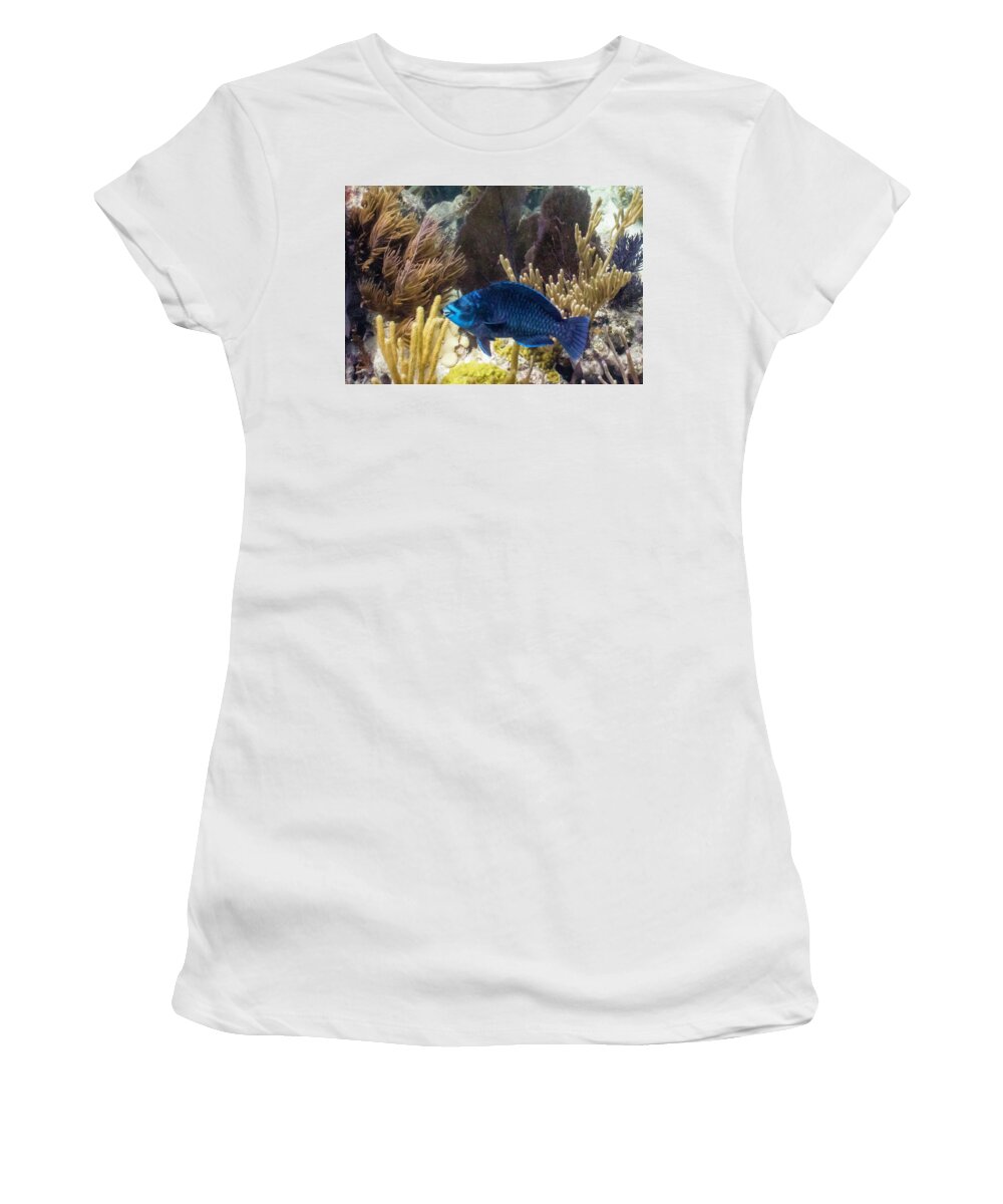 Animals Women's T-Shirt featuring the photograph After Midnight by Lynne Browne