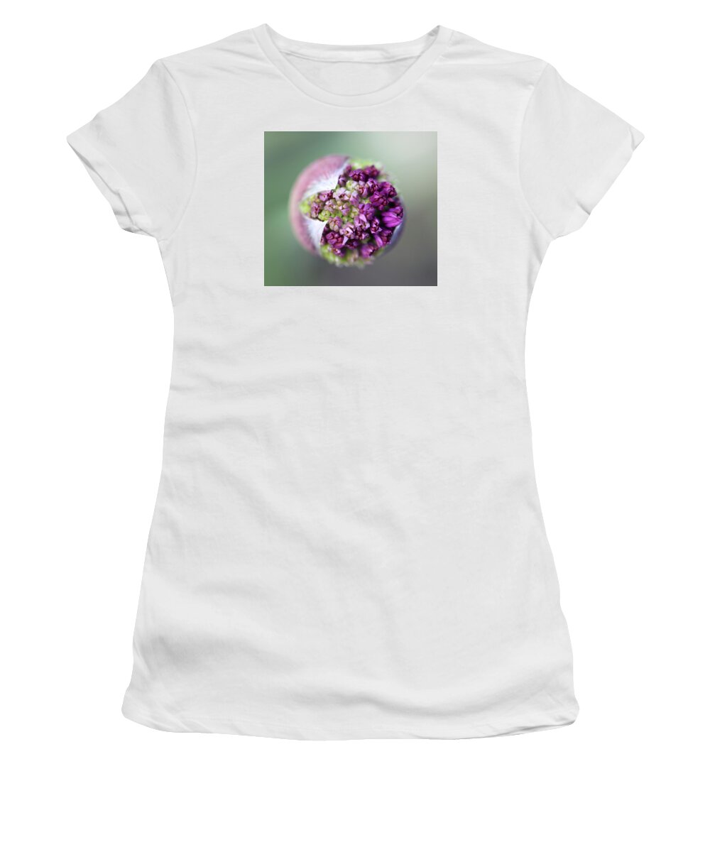 Beautiful Women's T-Shirt featuring the photograph Allium New Beginnings by Tammy Pool