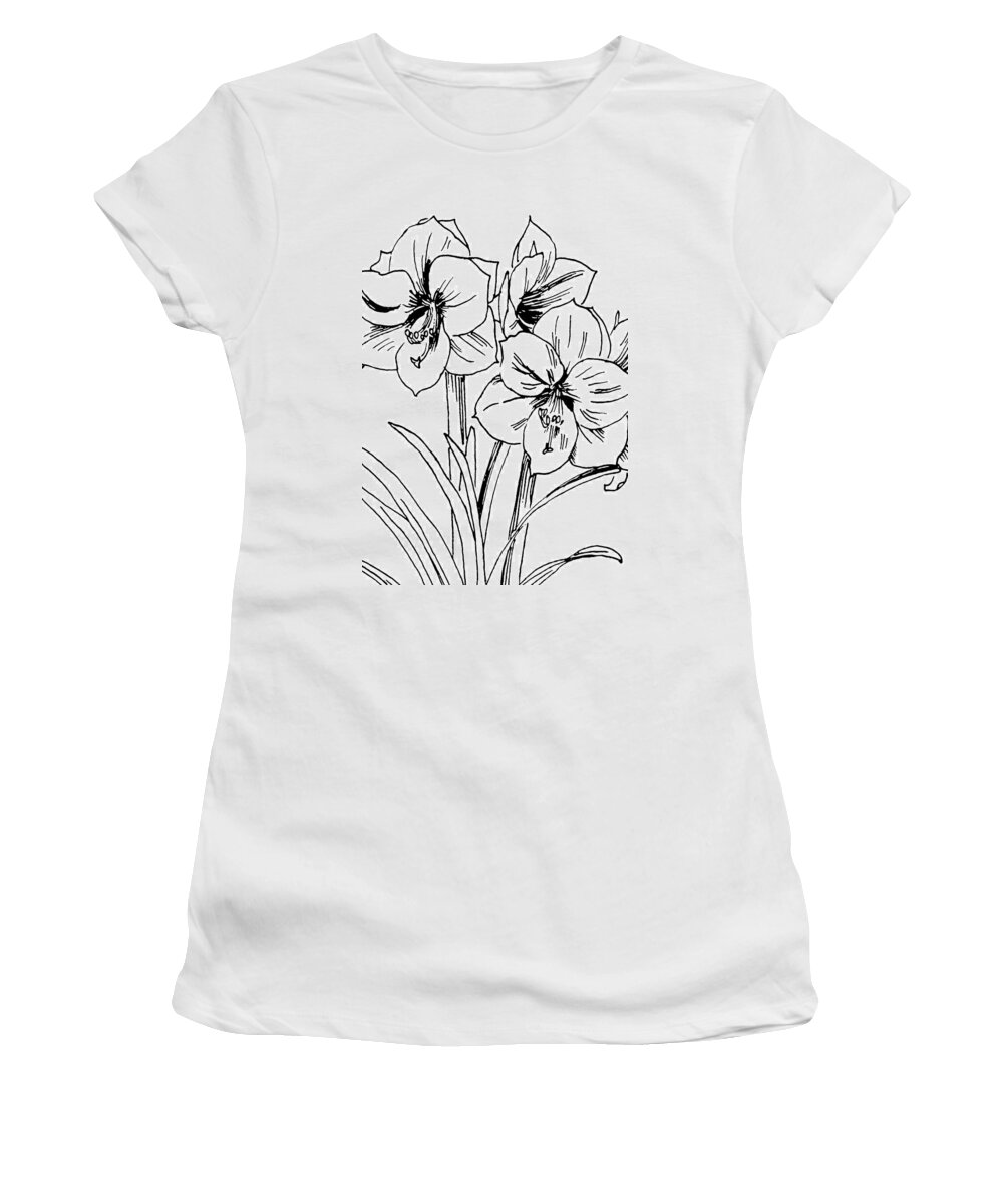 Amaryllis Women's T-Shirt featuring the drawing Amaryllis 4 by Masha Batkova
