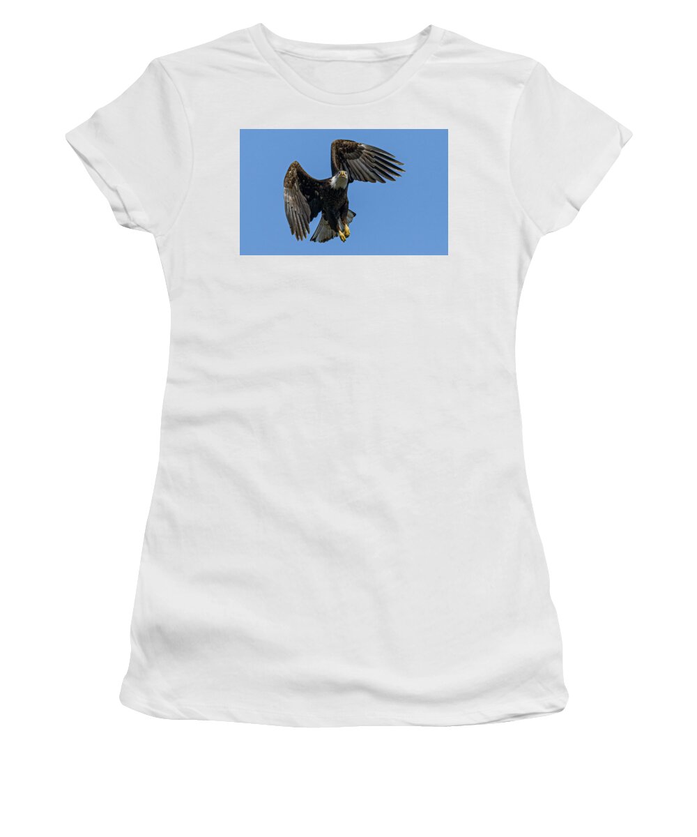 Raptor Women's T-Shirt featuring the photograph American Bald Eagle 6 by Rick Mosher