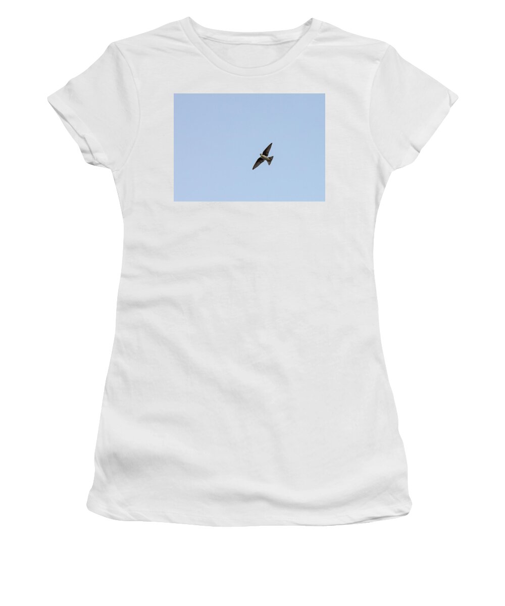 Sky Women's T-Shirt featuring the photograph Animals - Bird in Flight by Amelia Pearn