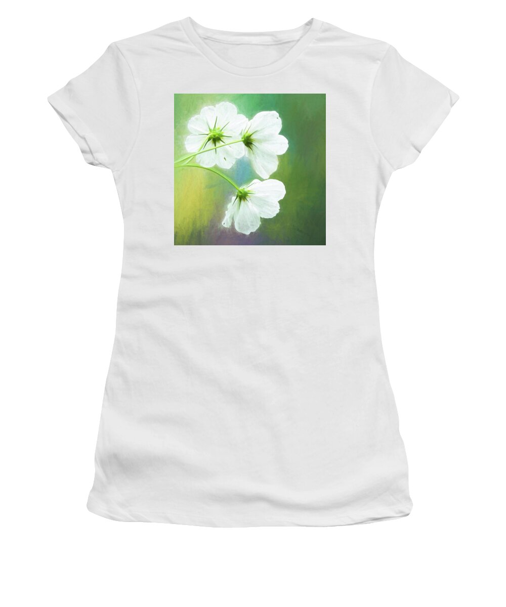 Colors Women's T-Shirt featuring the photograph Painted Cosmos Trio by Anita Pollak