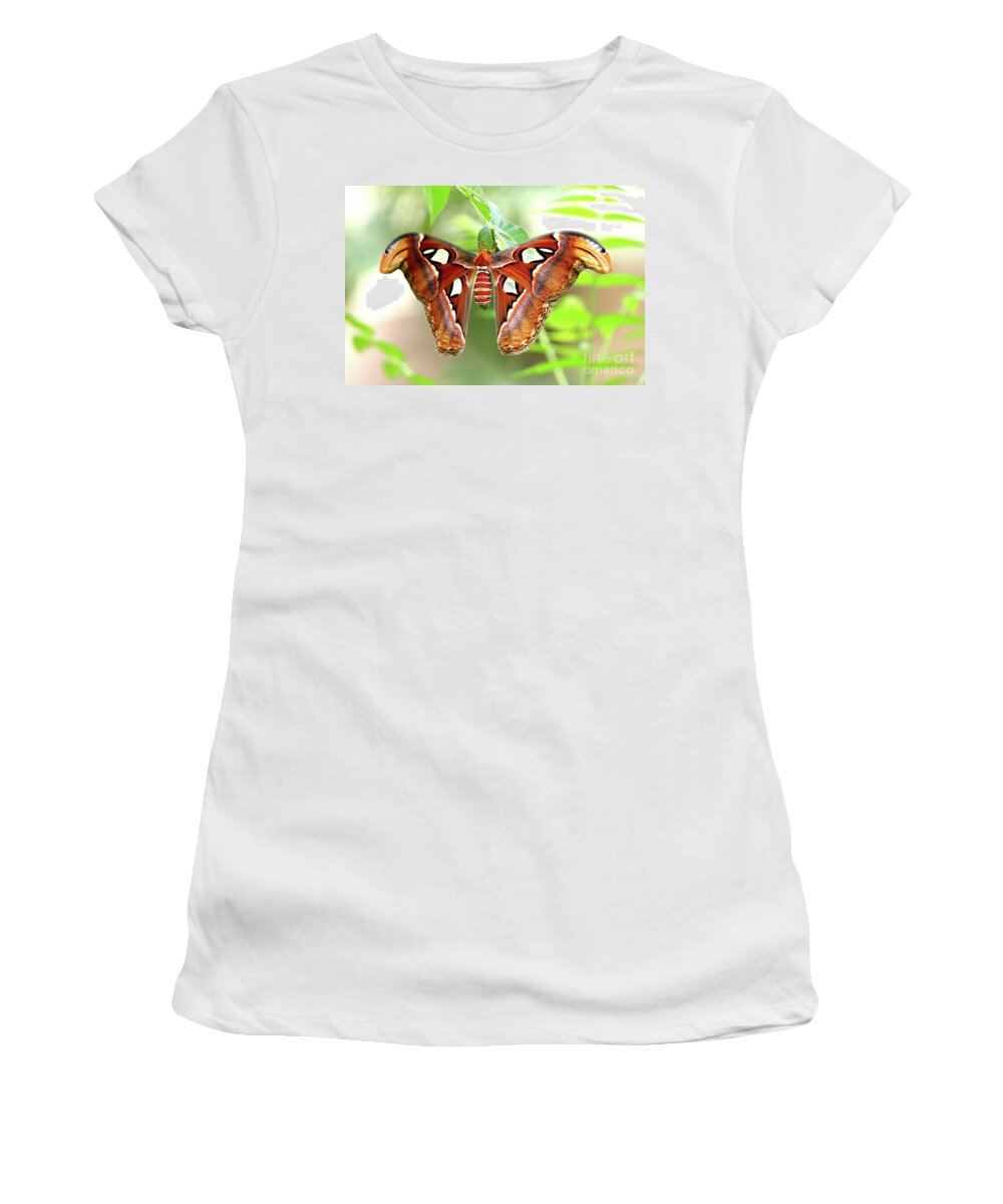 Attacus Women's T-Shirt featuring the photograph Attacus atlas by Frederic Bourrigaud