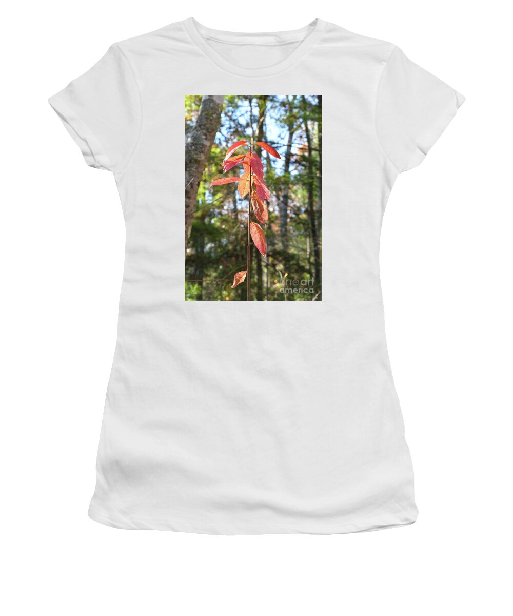 Tennessee Women's T-Shirt featuring the photograph Autumn Foliage by Phil Perkins