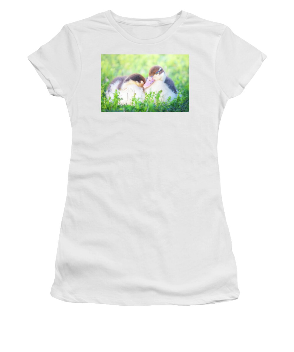Napping Women's T-Shirt featuring the photograph Baby Snuggle Ducklings by Jordan Hill