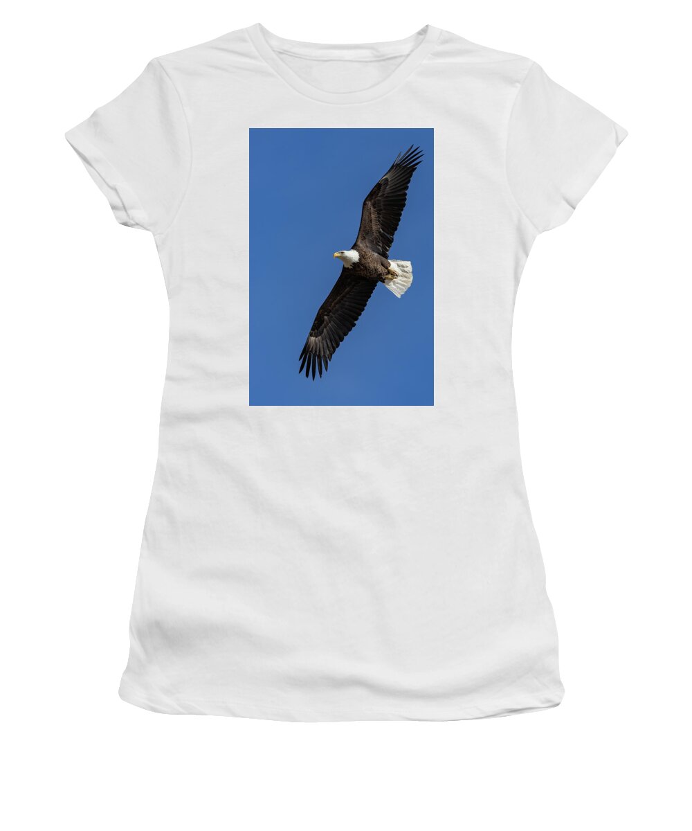 Bald Eagle Women's T-Shirt featuring the photograph Bald Eagle Flyby Portrait by Tony Hake