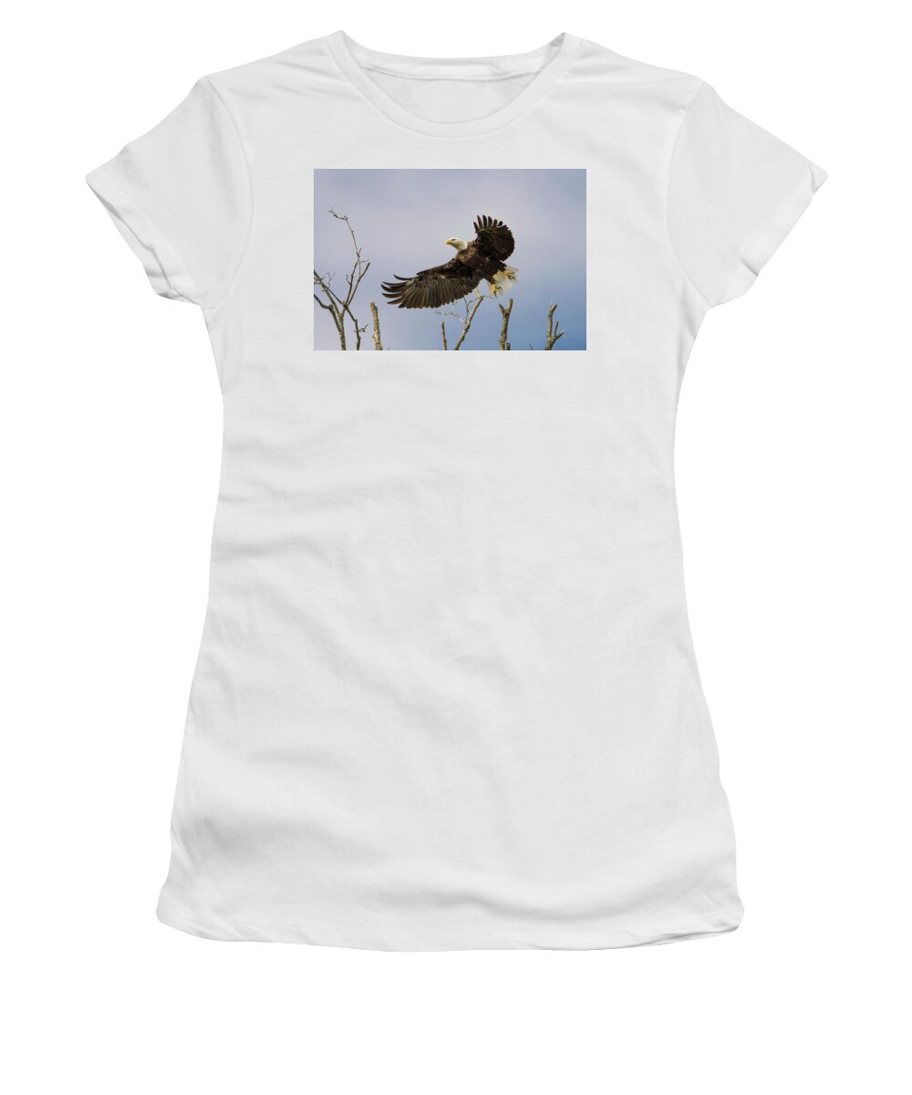 Bald Eagle Women's T-Shirt featuring the photograph Bald Eagle by Linda Shannon Morgan