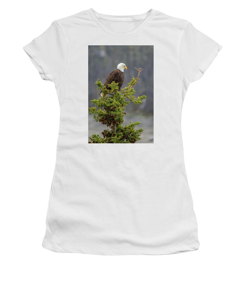 Eagle Women's T-Shirt featuring the photograph Bald Eagle on Top of Spruce by Bill Cubitt