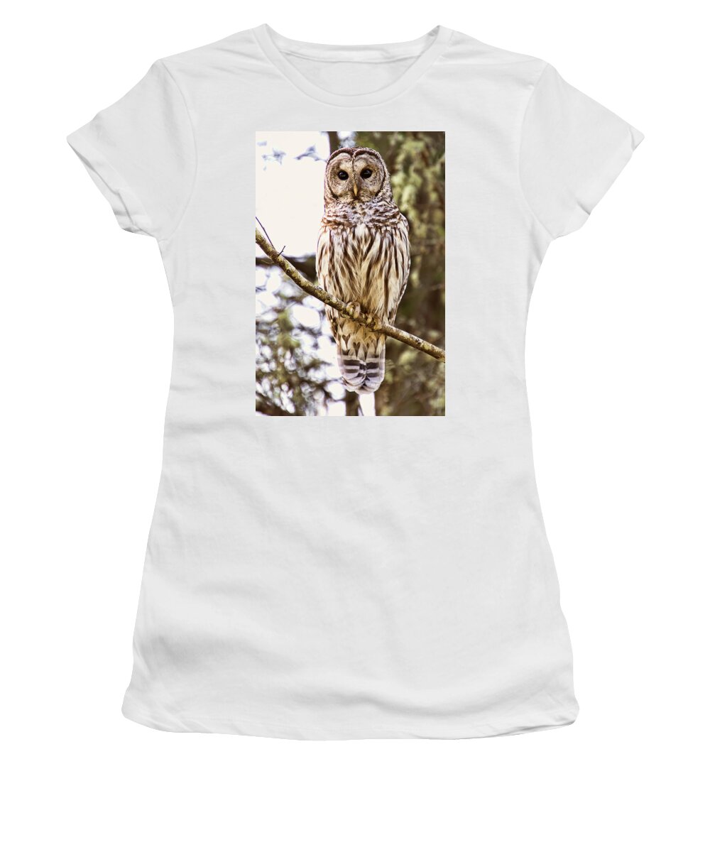 Barred Owl Women's T-Shirt featuring the photograph Barred Owl Stare by Peggy Collins