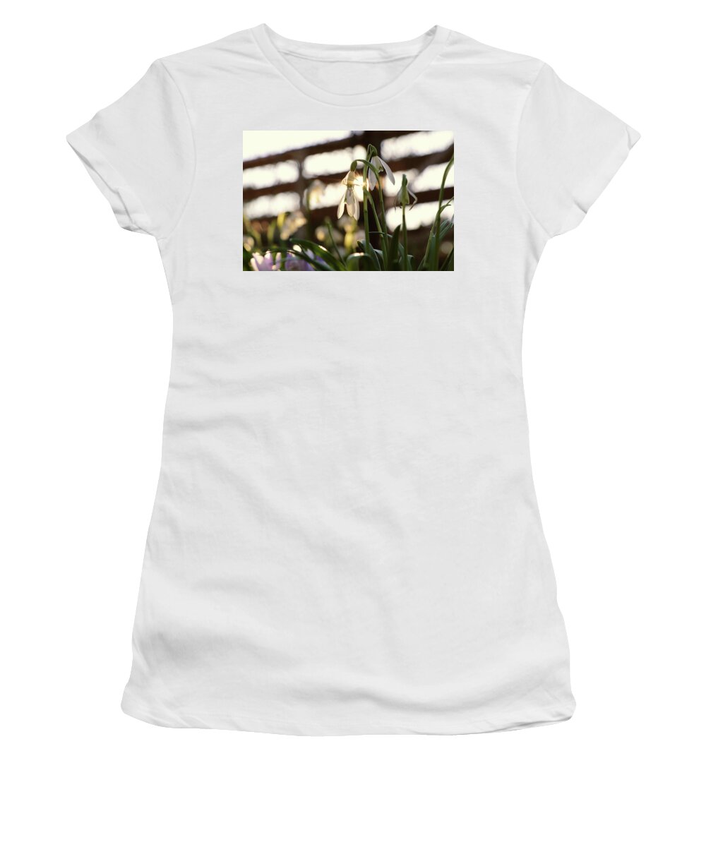 Misty Women's T-Shirt featuring the photograph White snowdrop in golden hours. by Vaclav Sonnek
