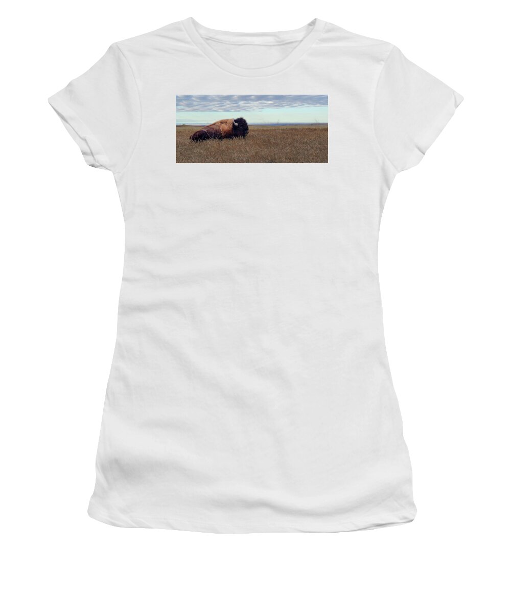 Badlands Women's T-Shirt featuring the photograph Bison on the Prairie by Double AA Photography