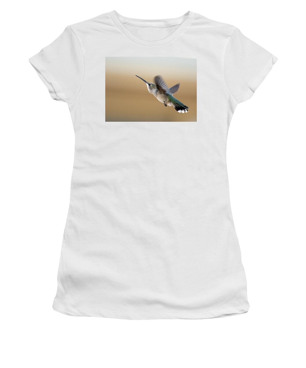 Black Chinned Hummingbird Women's T-Shirt featuring the photograph Black Chinned Hummingbird 5 by Rick Mosher