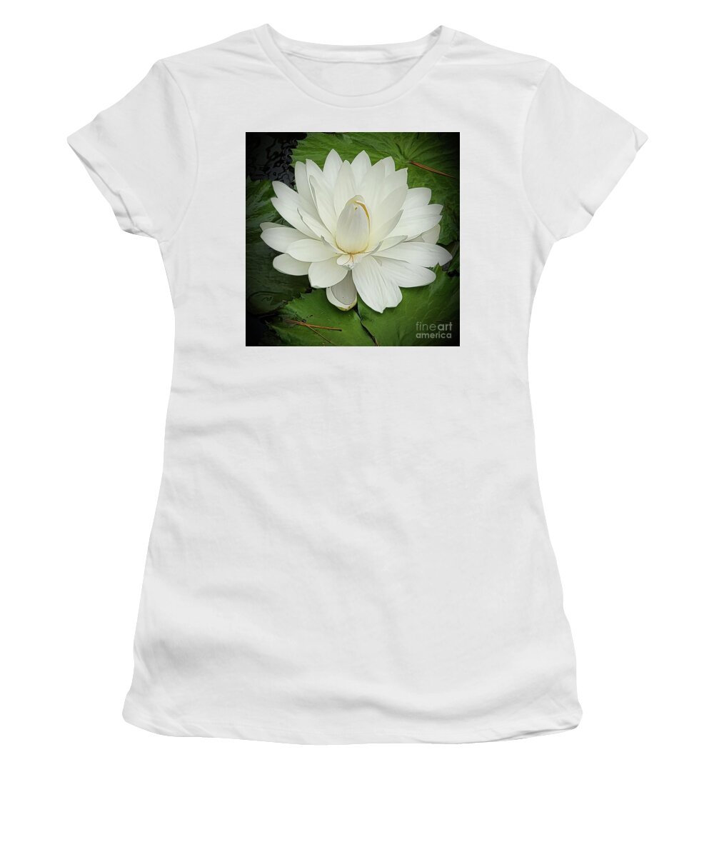 Art Women's T-Shirt featuring the photograph Blooming White Lily by Jeannie Rhode