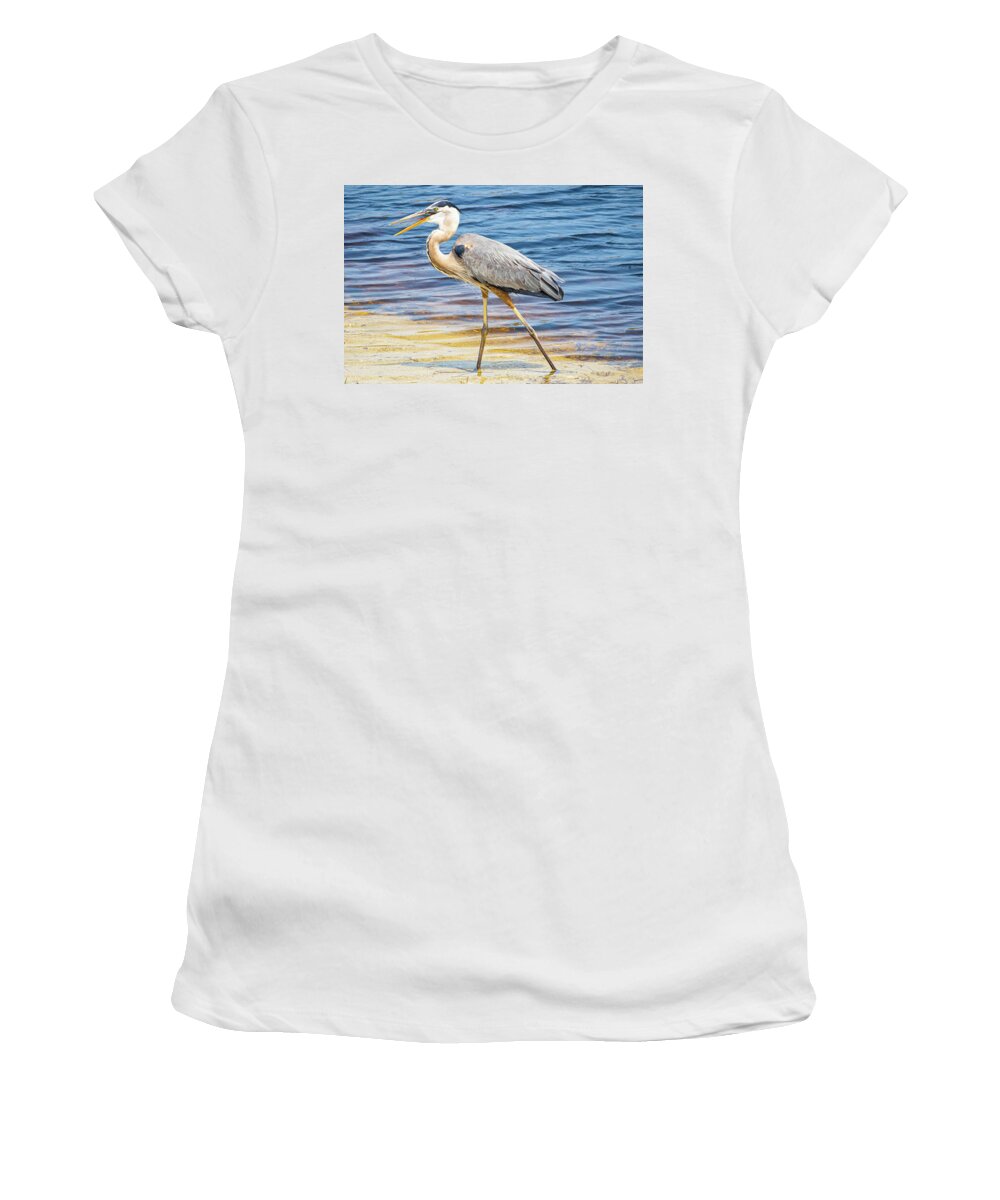 Blue Heron Women's T-Shirt featuring the photograph Blue Heron Stroll by Blair Damson