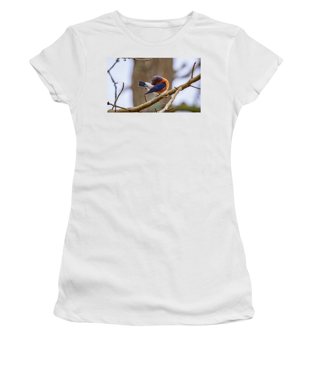 Bluebirds Women's T-Shirt featuring the photograph Bluebird Bath by Linda Unger