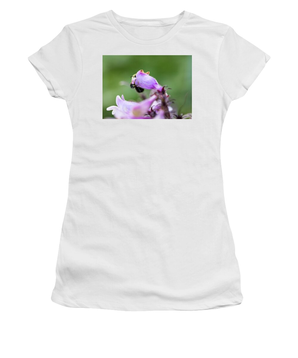 Flower Women's T-Shirt featuring the photograph Bumble Bee on Flowers 2 by Amelia Pearn