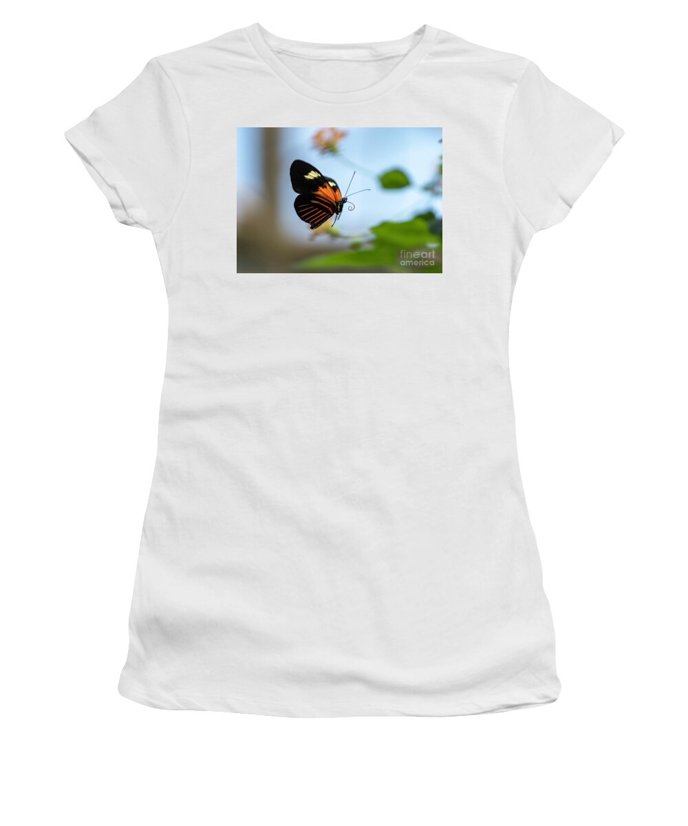 Butterfly Women's T-Shirt featuring the photograph Butterfly in Flight by Cathy Donohoue